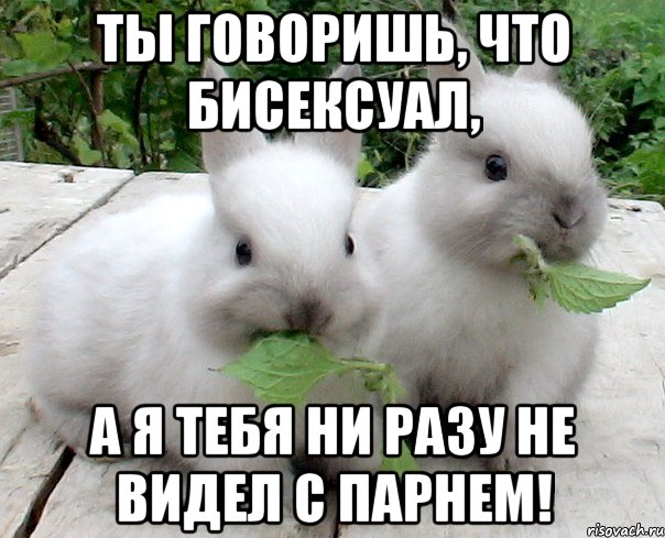 Ты говоришь, что бисексуал, а я тебя ни разу не видел с парнем!