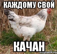 каждому свой качан, Мем курица