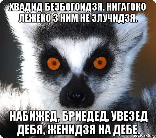 Хвадид безбогоидзя. Нигагоко лежеко з ним не злучидзя. Набижед, бриедед, увезед дебя, женидзя на дебе., Мем лемур