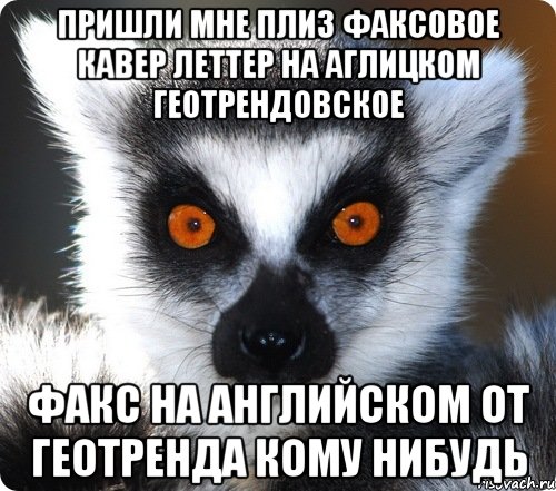 пришли мне плиз факсовое кавер леттер на аглицком геотрендовское факс на английском от геотренда кому нибудь, Мем лемур