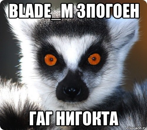 Blade_M Зпогоен Гаг нигокта, Мем лемур