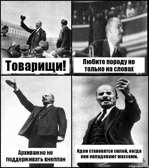 Товарищи! Любите породу не только на словах Архиважно не поддерживать внеплан Идеи становятся силой, когда они овладевают массами.