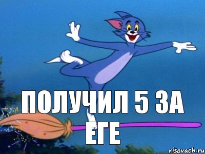  Получил 5 за ЕГЕ, Мем летун