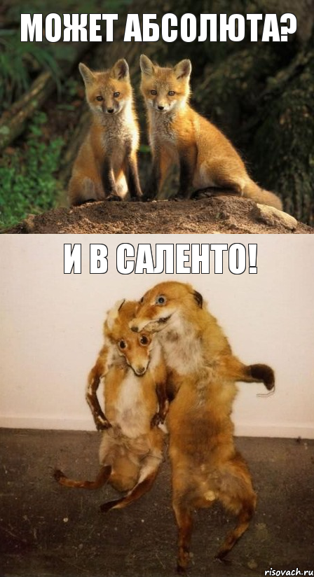 Может Абсолюта? И в Саленто!