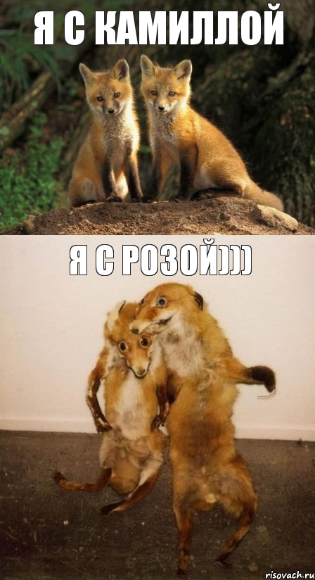 Я с Камиллой Я с Розой))), Комикс Лисицы