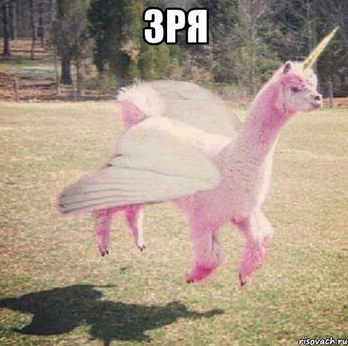 Зря , Мем Llama