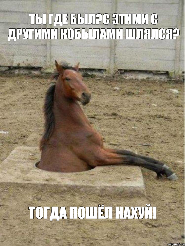 Ты где был?С этими с другими кобылами шлялся? Тогда пошёл нахуй!
