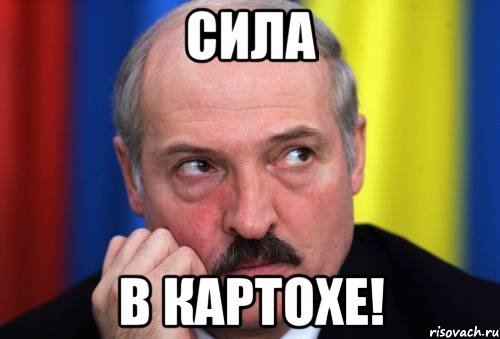 Сила В картохе!, Мем Лукашенко