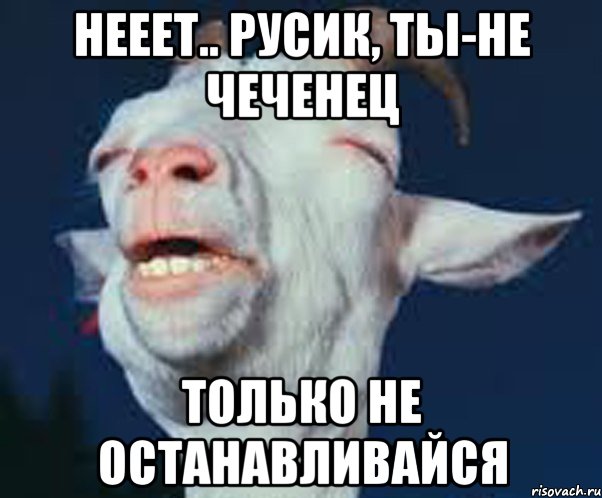 Нееет.. Русик, ты-не чеченец Только не останавливайся, Мем Мага