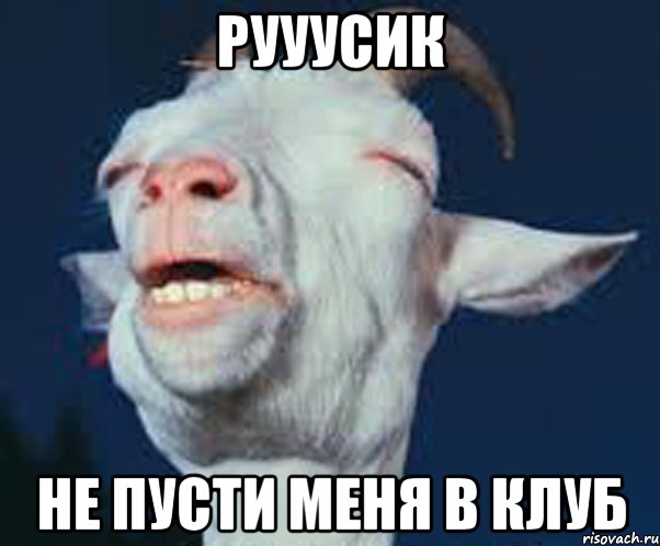 Рууусик Не пусти меня в клуб, Мем Мага