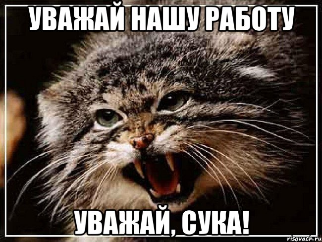 Уважай нашу работу Уважай, сука!, Мем манул