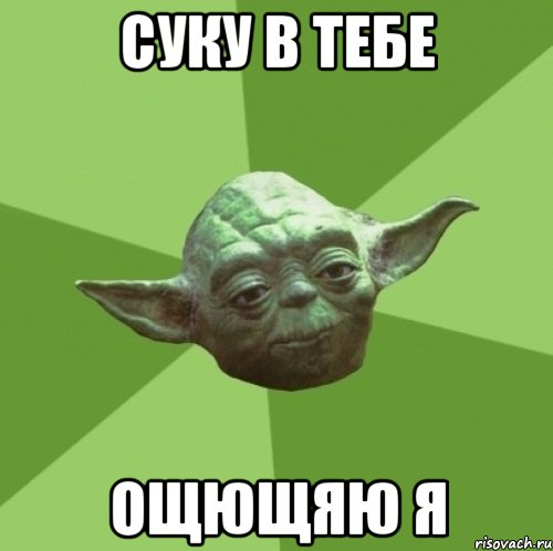 суку в тебе ощющяю я, Мем Мастер Йода
