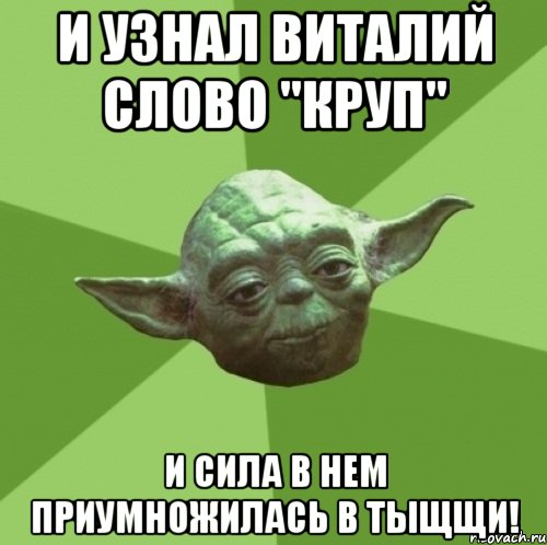 И узнал Виталий слово "Круп" и сила в нем приумножилась в тыщщи!, Мем Мастер Йода