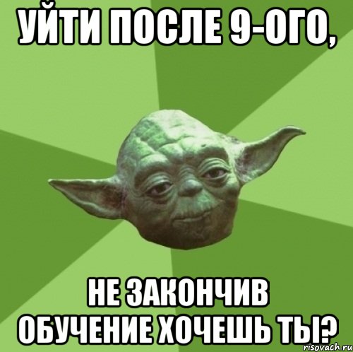 уйти после 9-ого, не закончив обучение хочешь ты?, Мем Мастер Йода