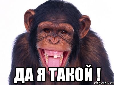  Да я такой !