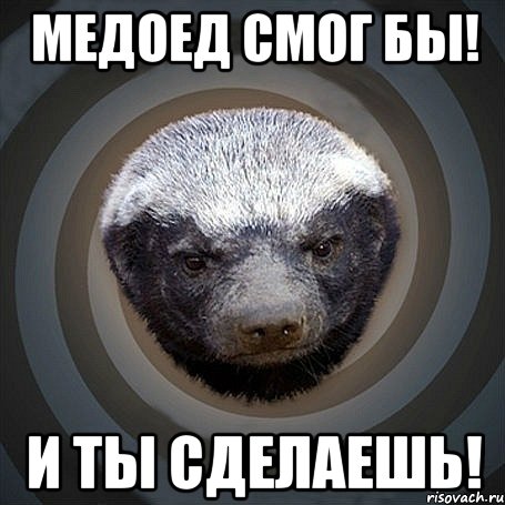 Медоед смог бы! И ты сделаешь!