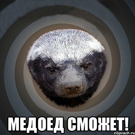 Медоед сможет!