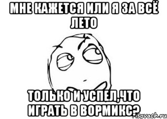 Мне кажется или я за всё лето только и успел,что играть в Вормикс?, Мем Мне кажется или