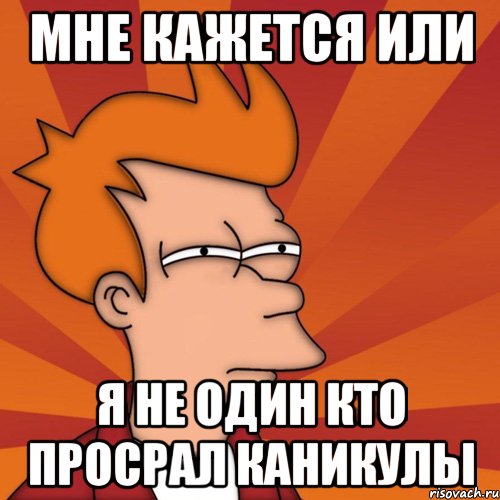 МНЕ КАЖЕТСЯ ИЛИ Я НЕ ОДИН КТО ПРОСРАЛ КАНИКУЛЫ, Мем Мне кажется или (Фрай Футурама)