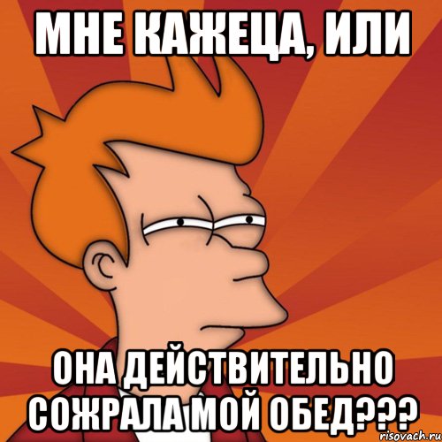 Мне кажеца, или ОНА действительно сожрала мой обед???, Мем Мне кажется или (Фрай Футурама)