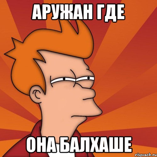 Аружан где она балхаше, Мем Мне кажется или (Фрай Футурама)