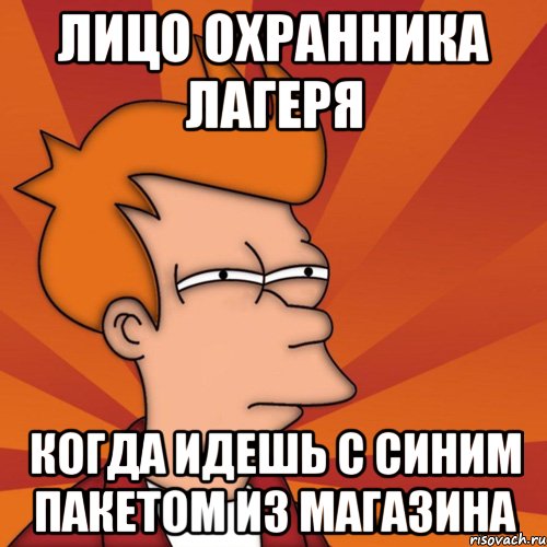 Лицо охранника лагеря когда идешь с синим пакетом из магазина, Мем Мне кажется или (Фрай Футурама)