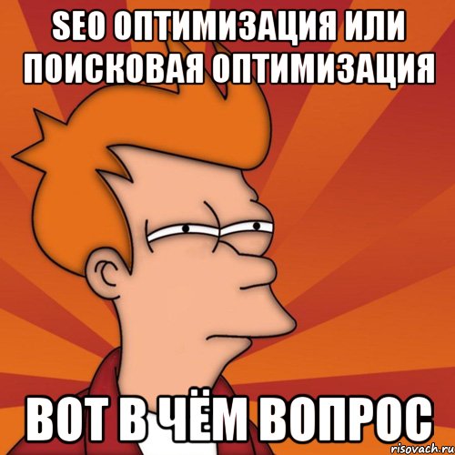 seo оптимизация или поисковая оптимизация вот в чём вопрос, Мем Мне кажется или (Фрай Футурама)