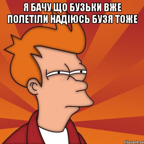 я бачу що бузьки вже полетіли надіюсь бузя тоже , Мем Мне кажется или (Фрай Футурама)