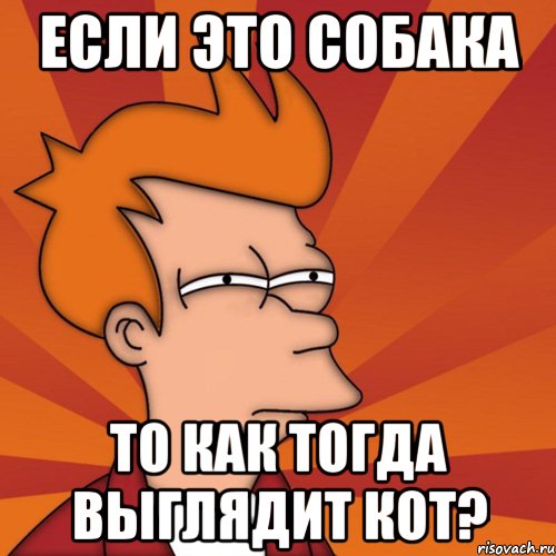 если это собака то как тогда выглядит кот?, Мем Мне кажется или (Фрай Футурама)