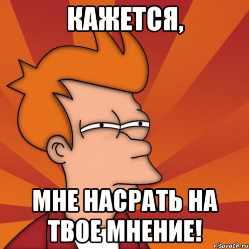Кажется, мне насрать на твое мнение!, Мем Мне кажется или (Фрай Футурама)