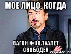 МОЕ ЛИЦО, КОГДА ВАГОН №00 ТУАЛЕТ СВОБОДЕН