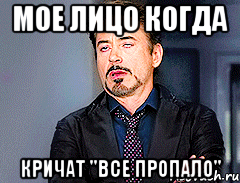 мое лицо когда кричат "все пропало"