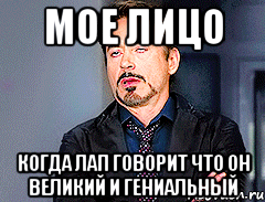 Мое лицо Когда Лап говорит что он великий и гениальный