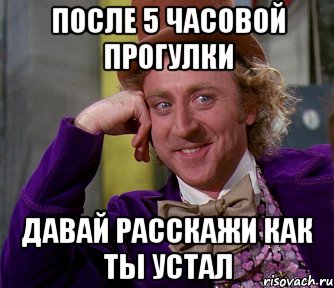 после 5 часовой прогулки давай расскажи как ты устал, Мем мое лицо