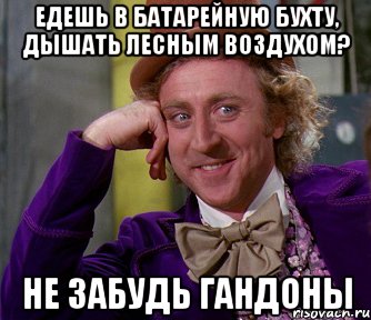 едешь в батарейную бухту, дышать лесным воздухом? не забудь гандоны, Мем мое лицо