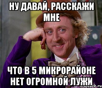 НУ ДАВАЙ, РАССКАЖИ МНЕ ЧТО В 5 МИКРОРАЙОНЕ НЕТ ОГРОМНОЙ ЛУЖИ, Мем мое лицо