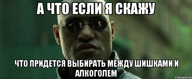 а что если я скажу что придется выбирать между шишками и алкоголем, Мем  морфеус