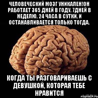 человеческий мозг уникален!он работает 365 дней в году, 7дней в неделю, 24 часа в сутки, и останавливается только тогда, когда ты разговариваешь с девушкой, которая тебе нравится, Мем мозг