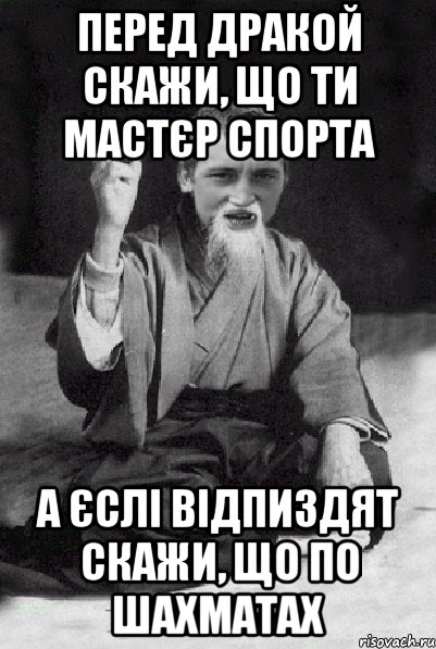 перед дракой скажи, що ти мастєр спорта а єслі відпиздят скажи, що по шахматах, Мем Мудрий паца