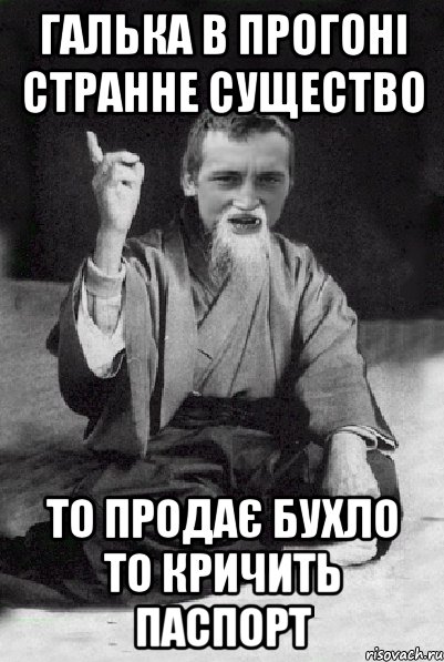 Галька в прогоні странне существо то продає бухло то кричить паспорт, Мем Мудрий паца