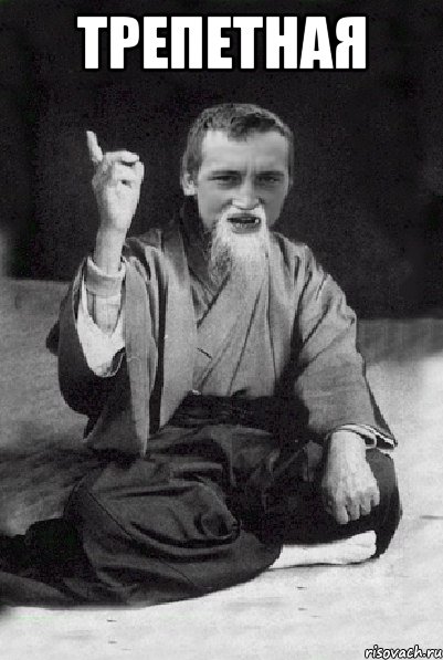трепетная , Мем Мудрий паца
