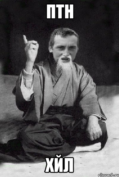 птн хйл, Мем Мудрий паца