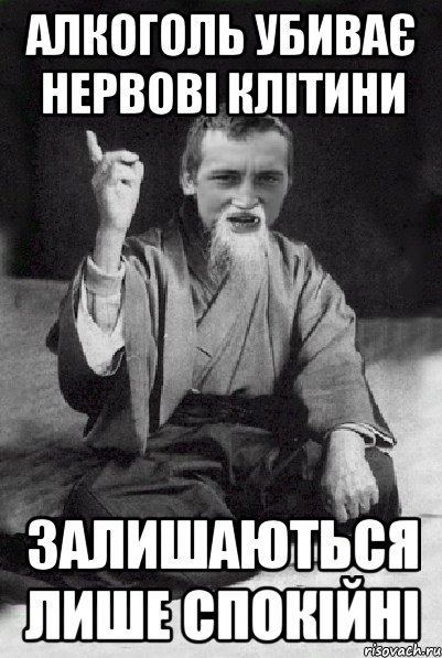Алкоголь убиває нервові клітини Залишаються лише спокійні, Мем Мудрий паца