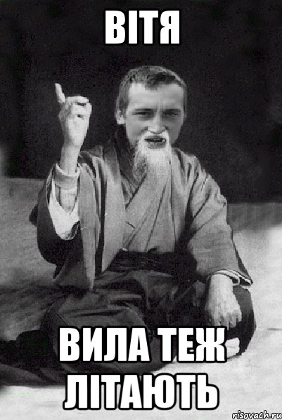 Вітя Вила теж літають, Мем Мудрий паца