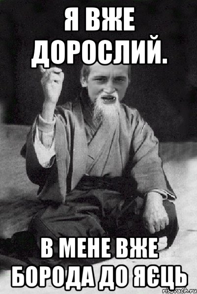 я вже дорослий. в мене вже борода до яєць, Мем Мудрий паца