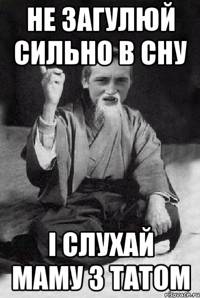 НЕ ЗАГУЛЮЙ СИЛЬНО В СНУ І СЛУХАЙ МАМУ З ТАТОМ, Мем Мудрий паца