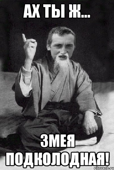 Ах ты ж... змея подколодная!, Мем Мудрий паца