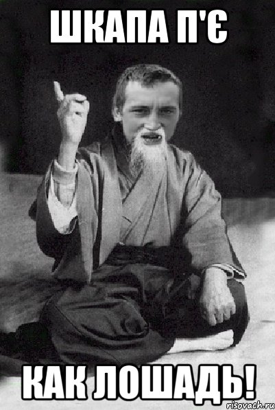Шкапа п'є Как лошадь!, Мем Мудрий паца