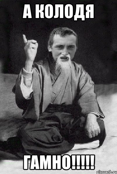 а колодя ГАМНО!!!!!, Мем Мудрий паца