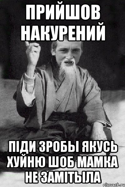 прийшов накурений пiди зробы якусь хуйню шоб мамка не замiтыла, Мем Мудрий паца